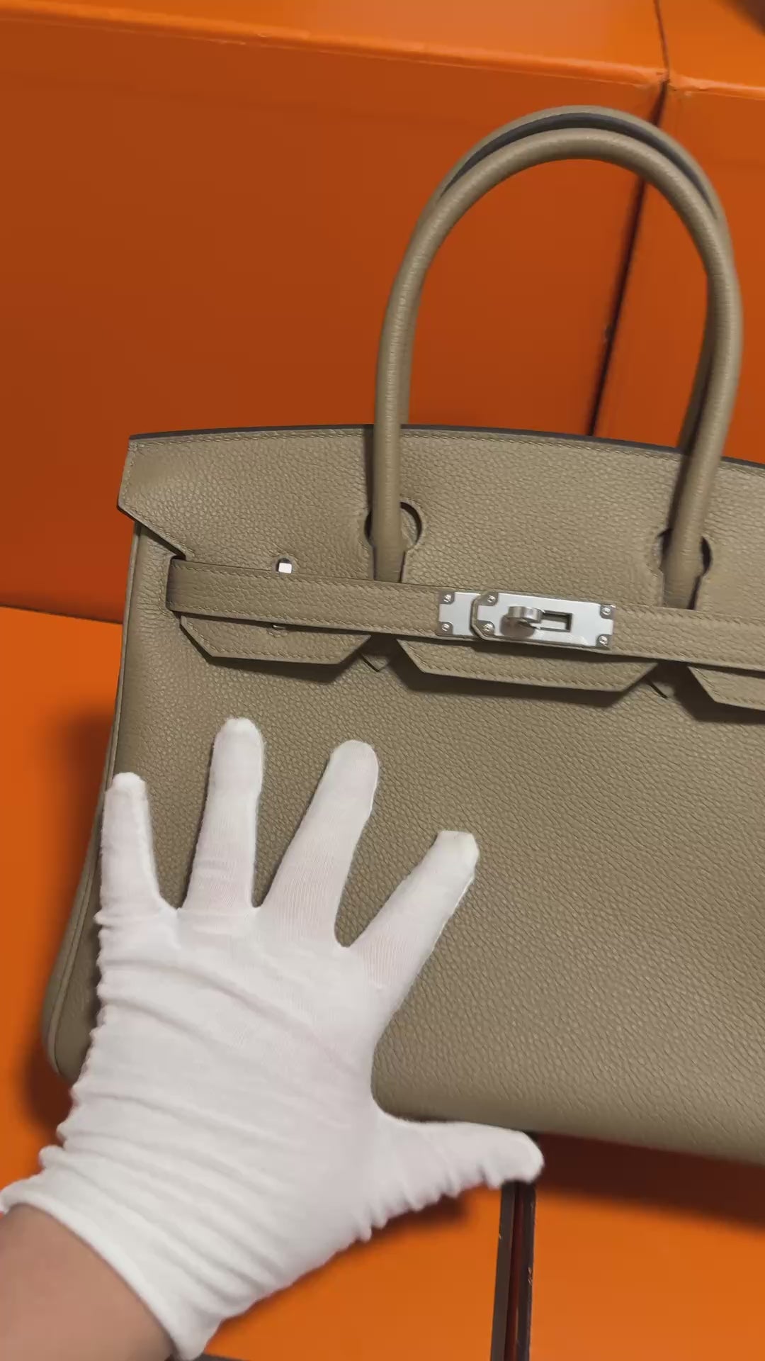 Birkin 30