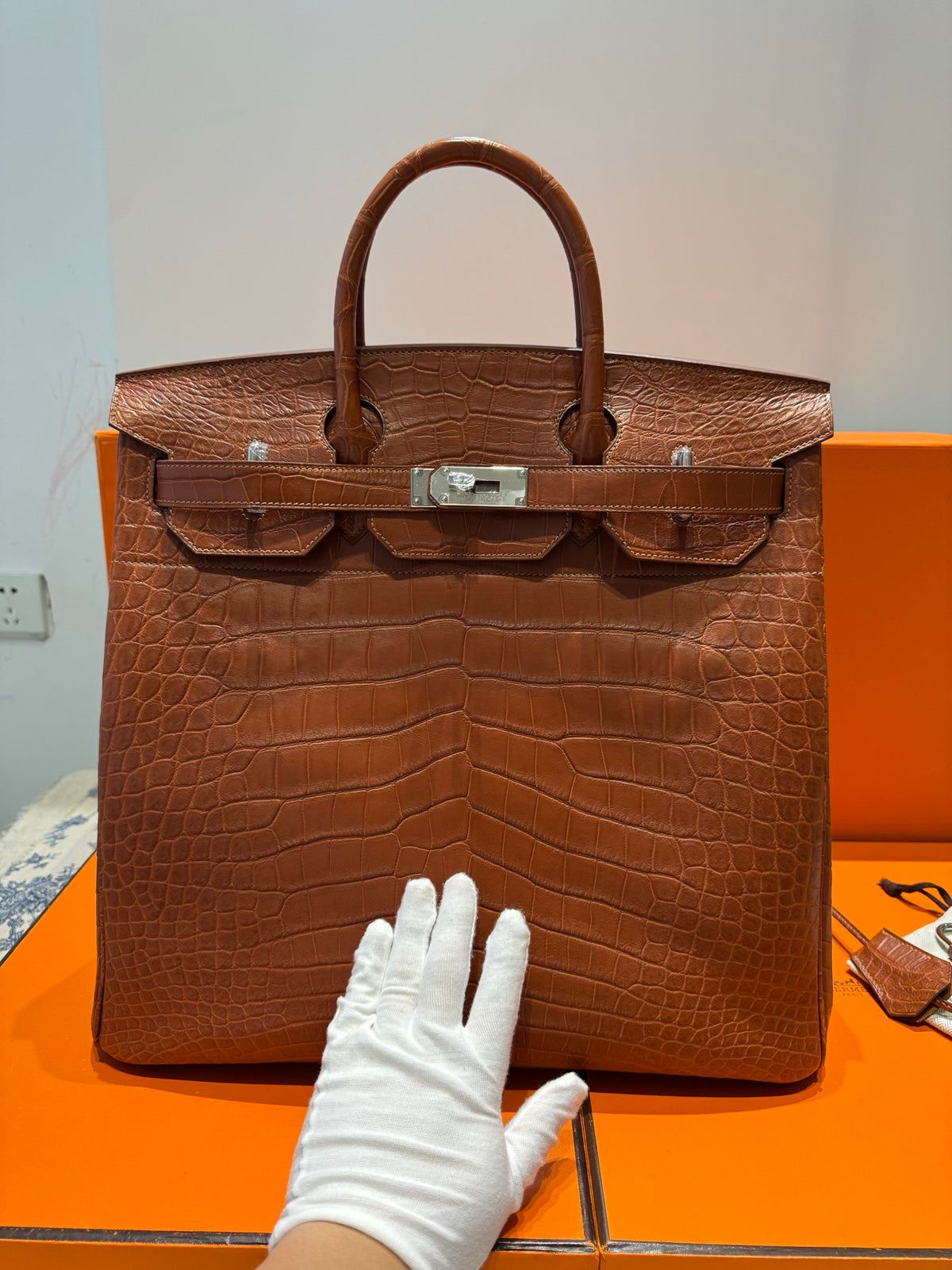 Hac 40 Biriin Crocodile