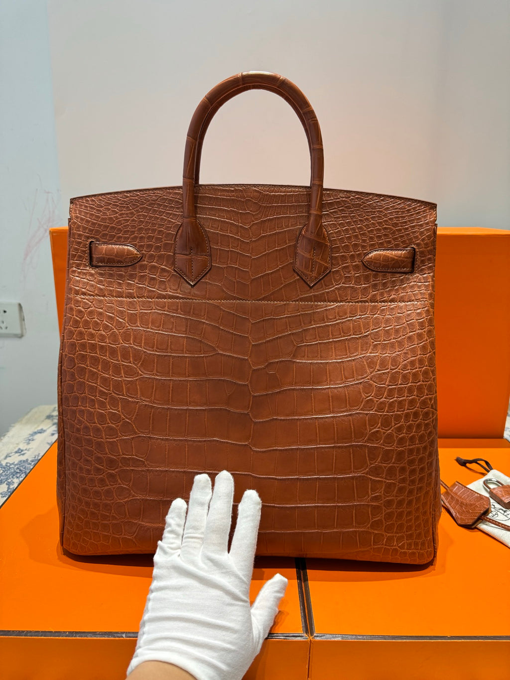 Hac 40 Biriin Crocodile