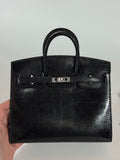 Birkin 20 Lizard