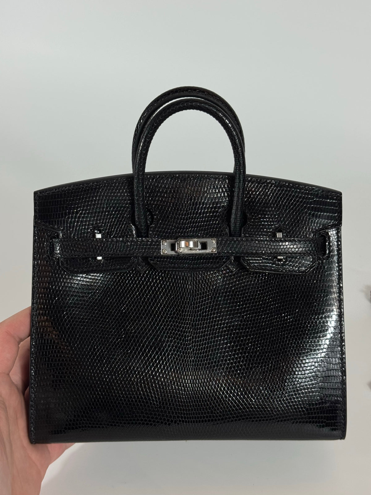 Birkin 20 Lizard