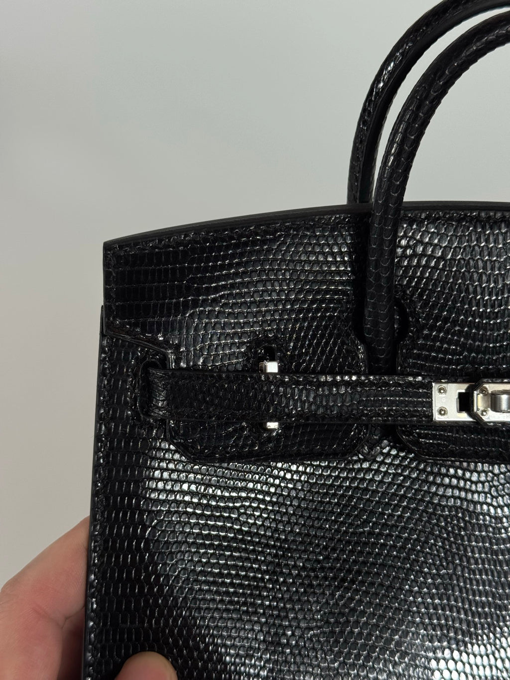 Birkin 20 Lizard