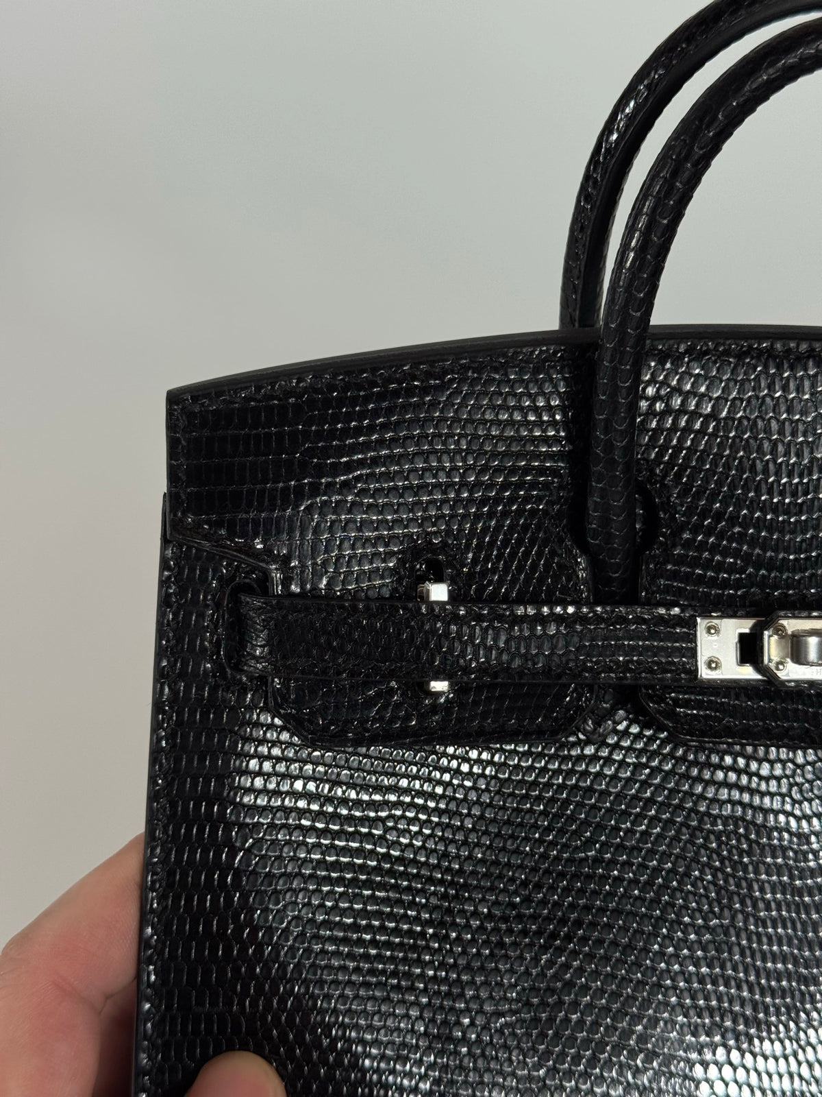 Birkin 20 Lizard
