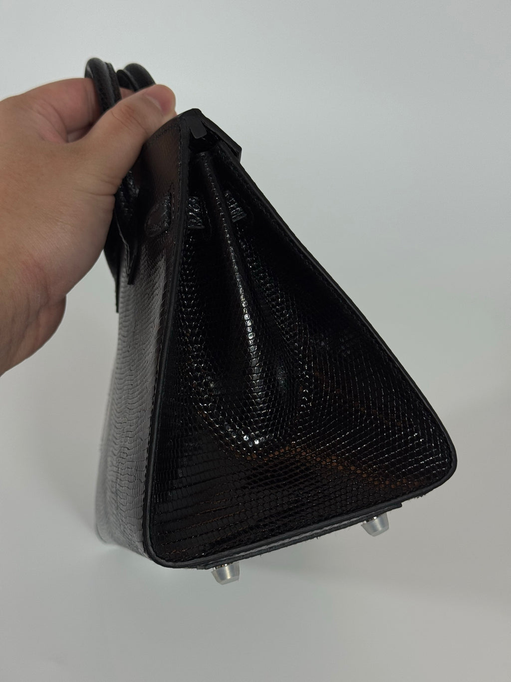 Birkin 20 Lizard
