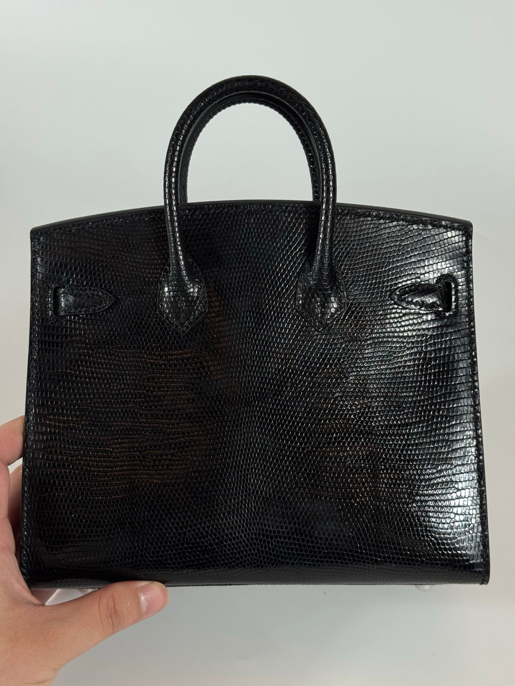 Birkin 20 Lizard