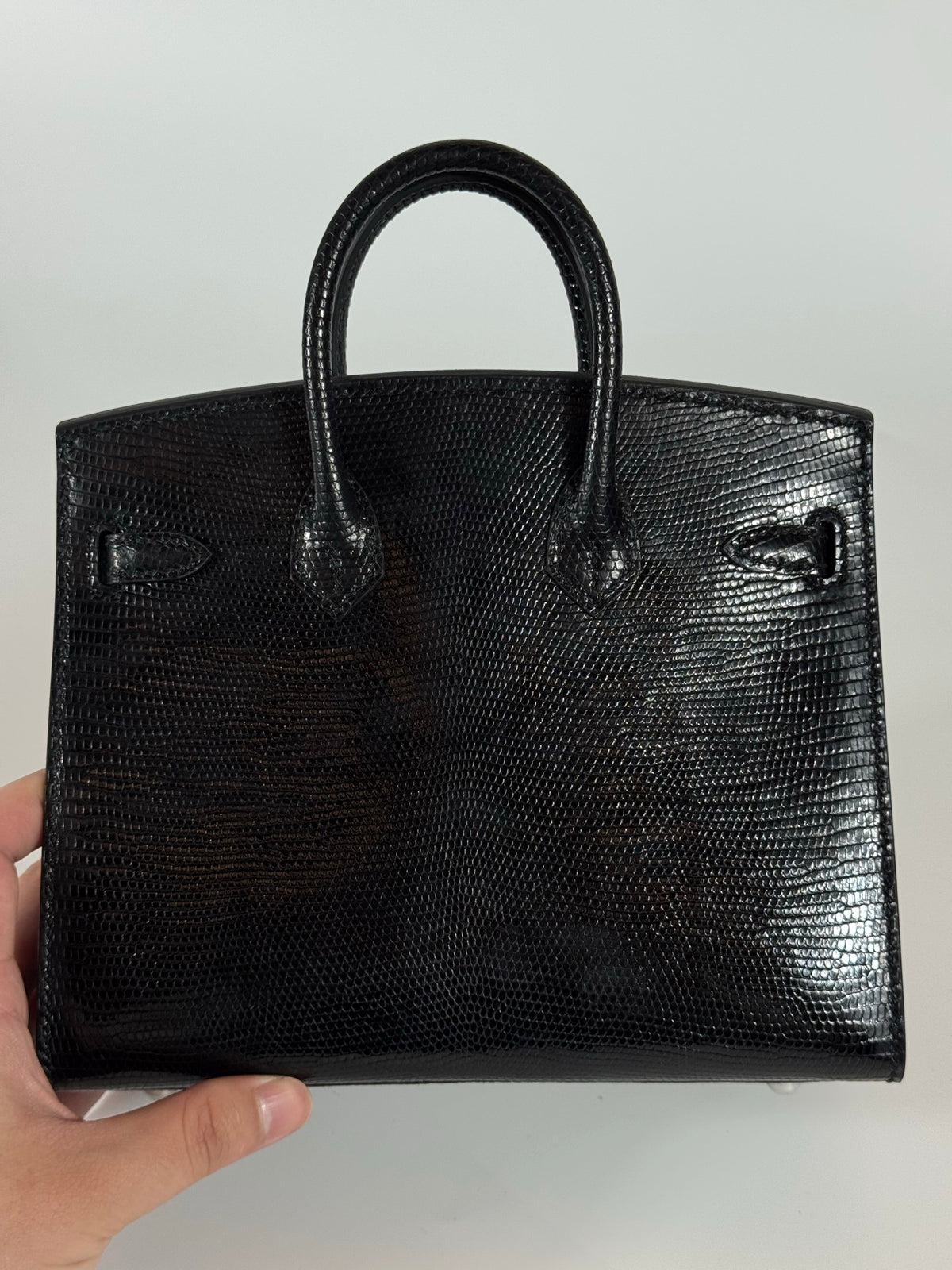 Birkin 20 Lizard