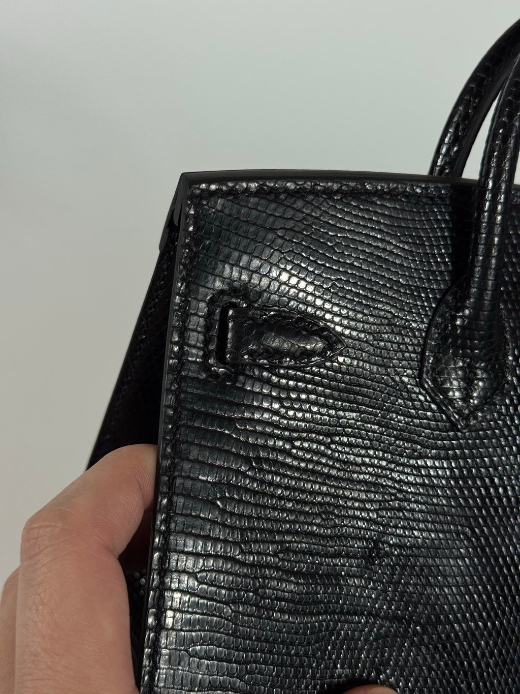 Birkin 20 Lizard