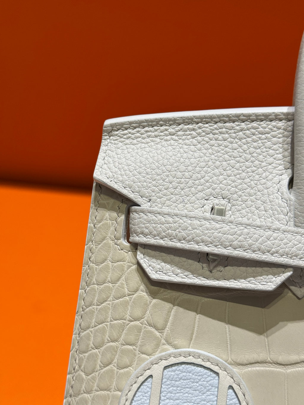 Birkin 20 White house