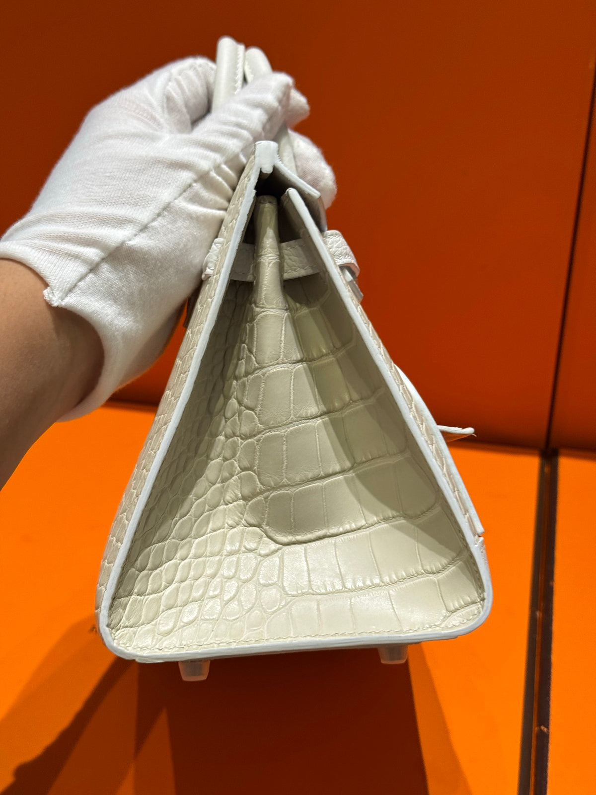 Birkin 20 White house