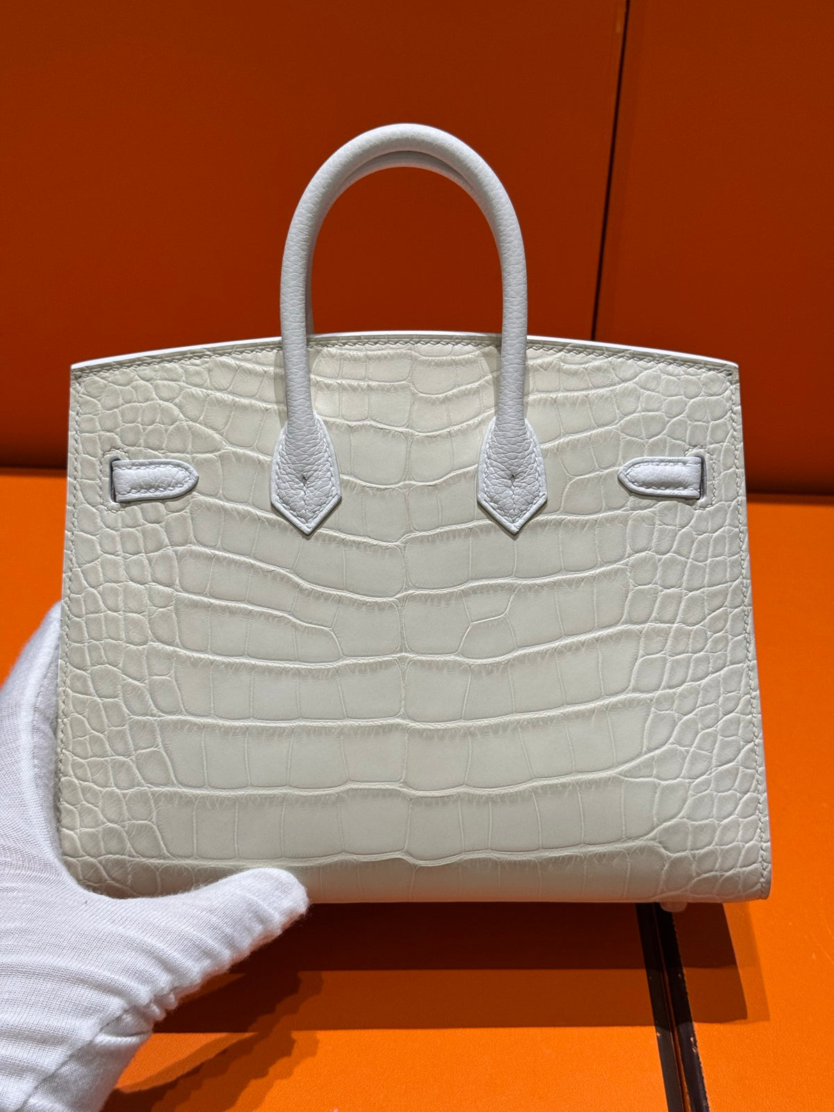 Birkin 20 White house