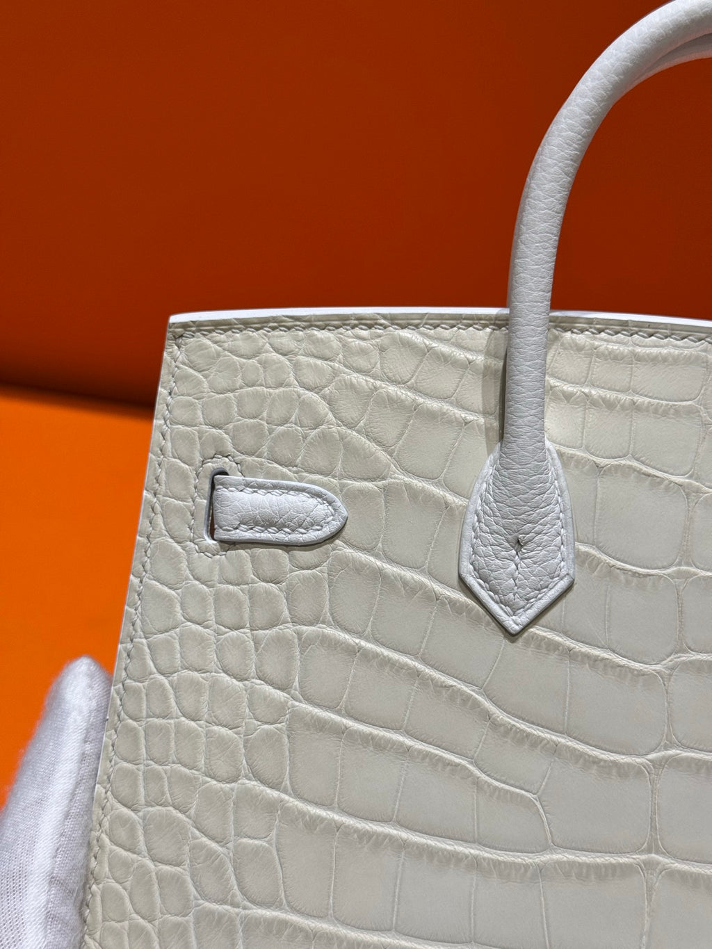 Birkin 20 White house