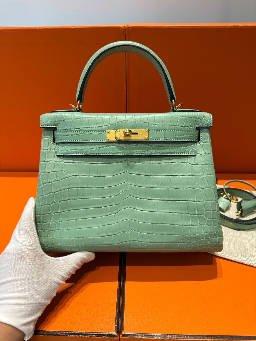 Kelly 28 Crocodile