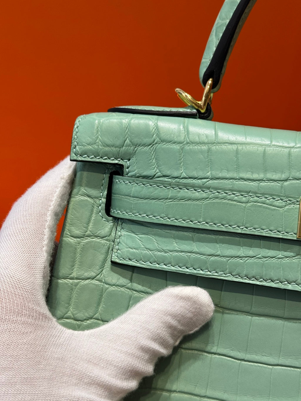Kelly 28 Crocodile