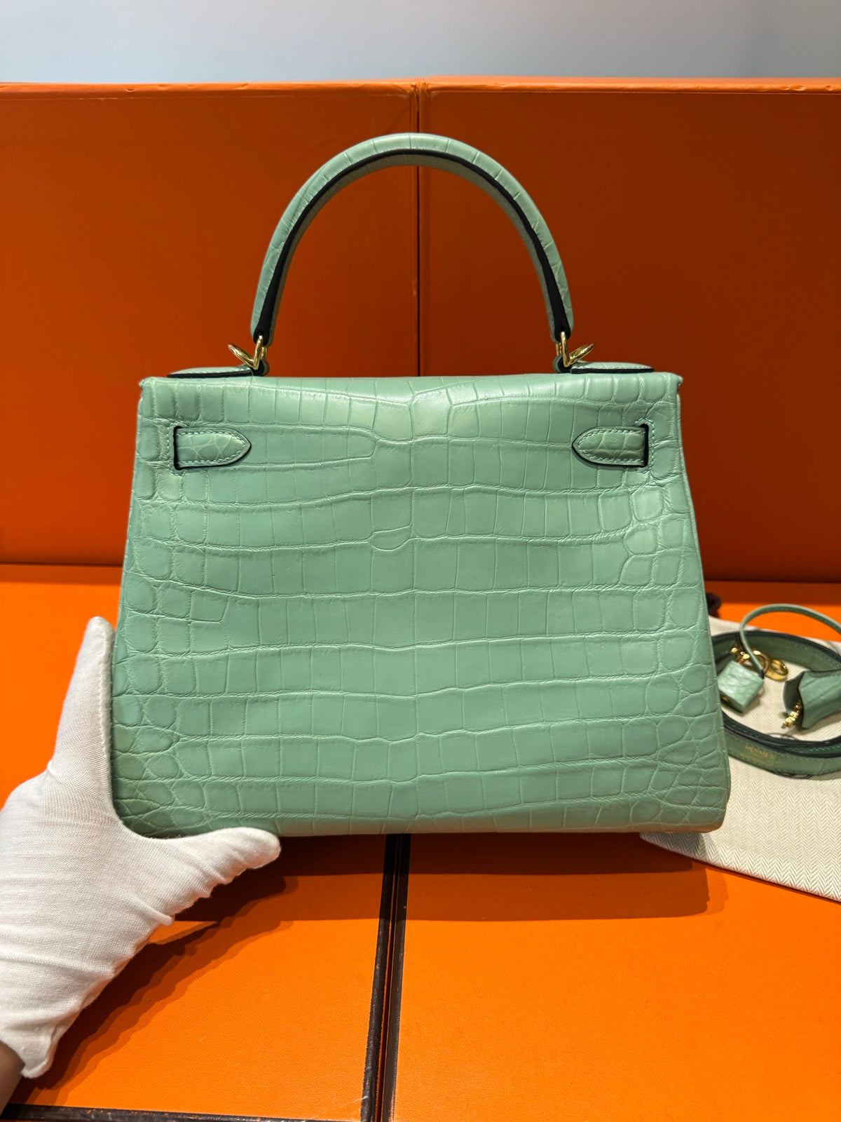 Kelly 28 Crocodile