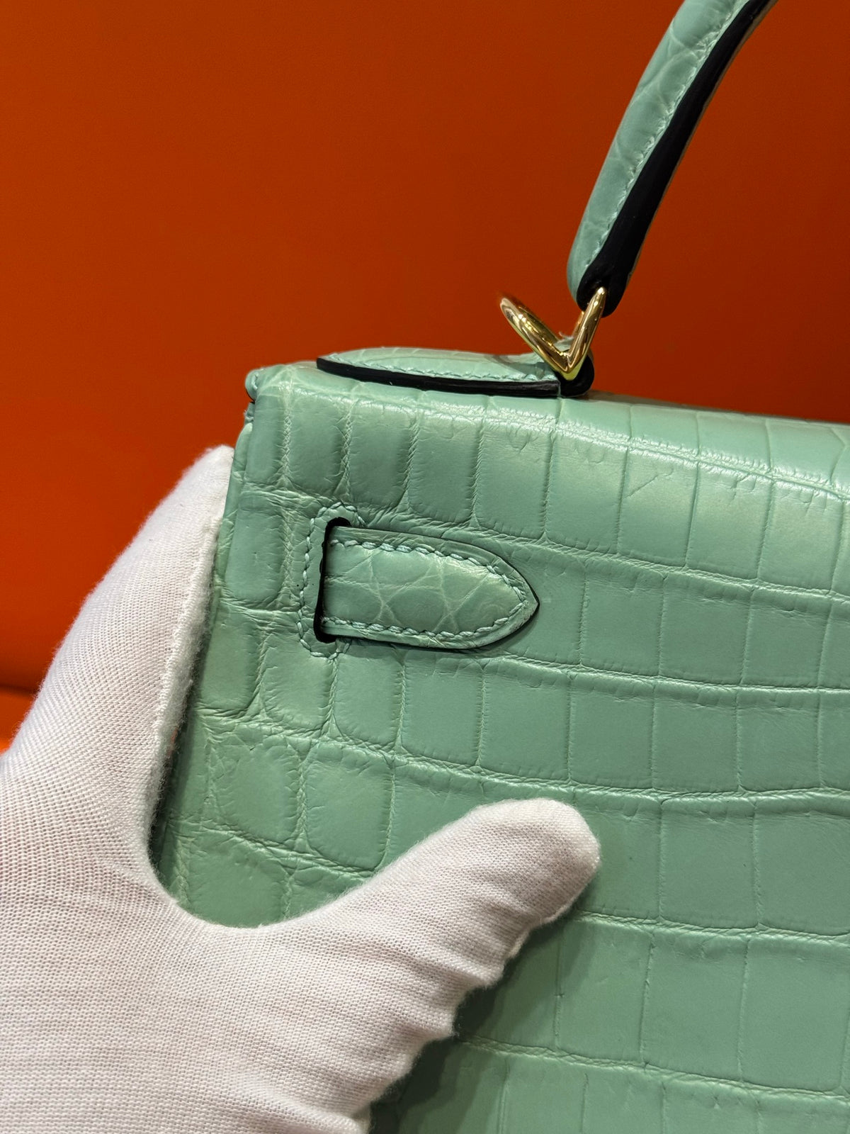 Kelly 28 Crocodile