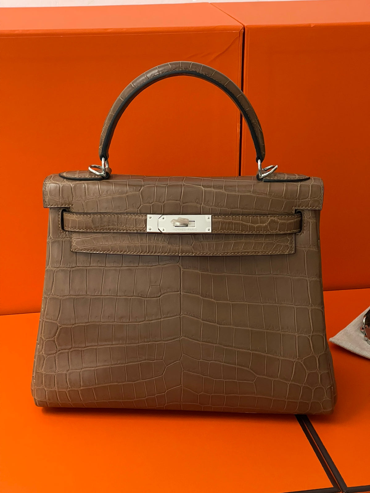 Kelly 28 crocodile