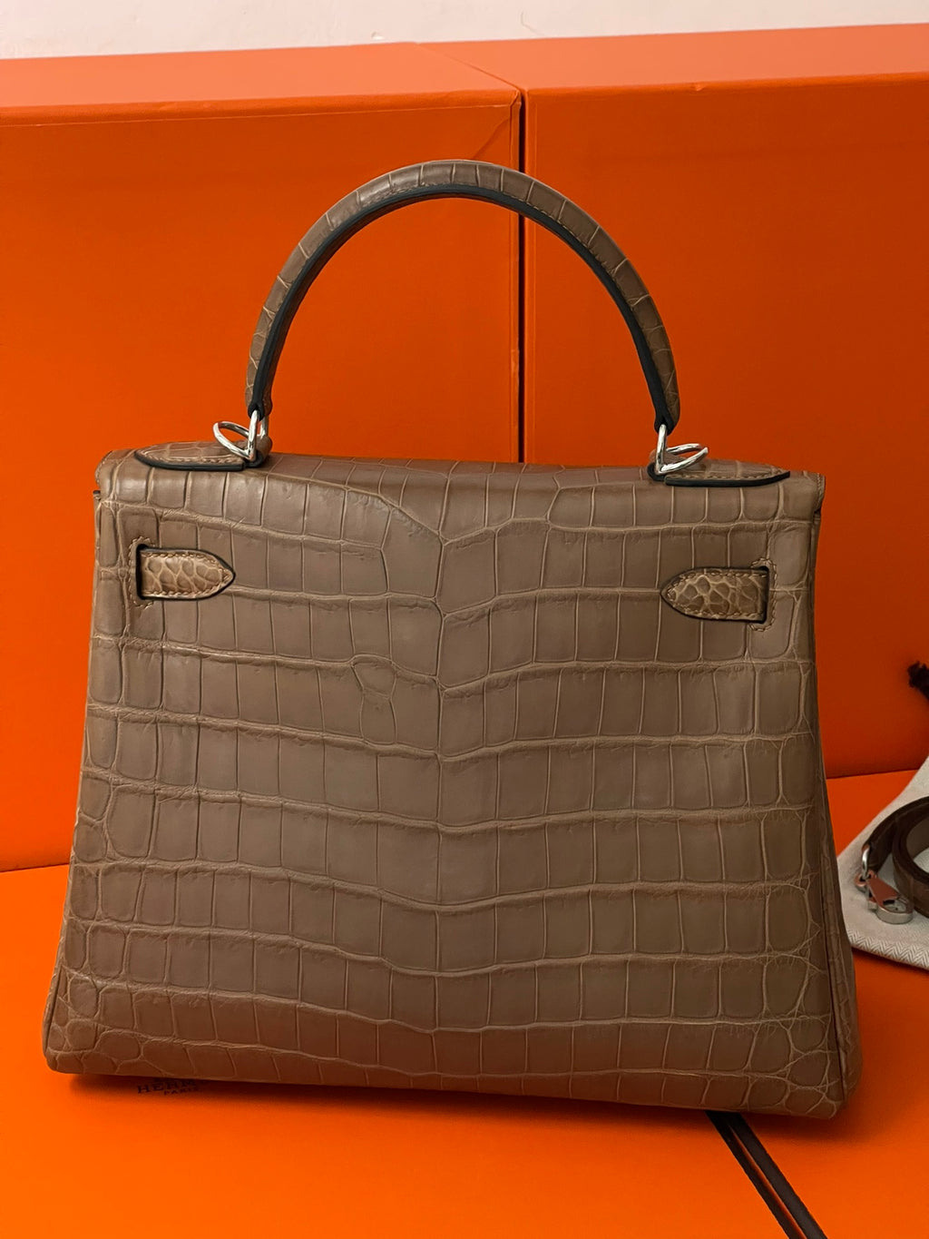 Kelly 28 crocodile