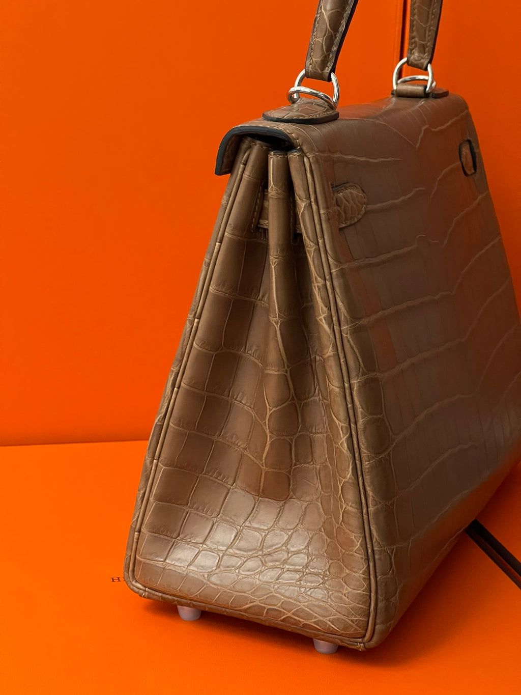 Kelly 28 crocodile