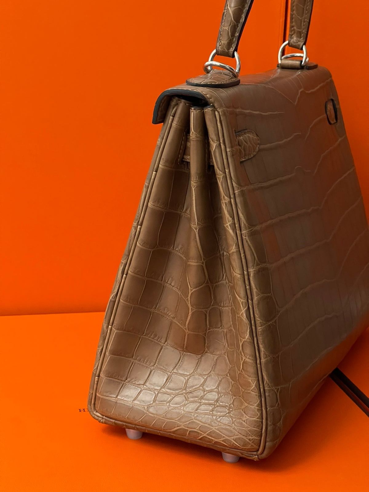 Kelly 28 crocodile