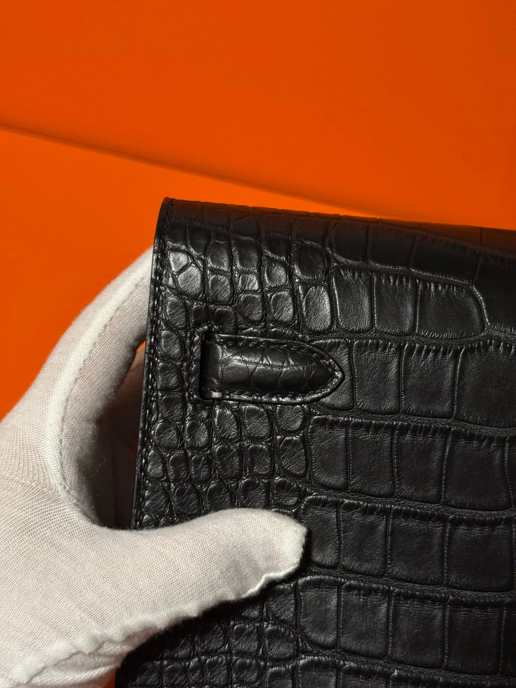 Kelly Depeche 25 Crocodile