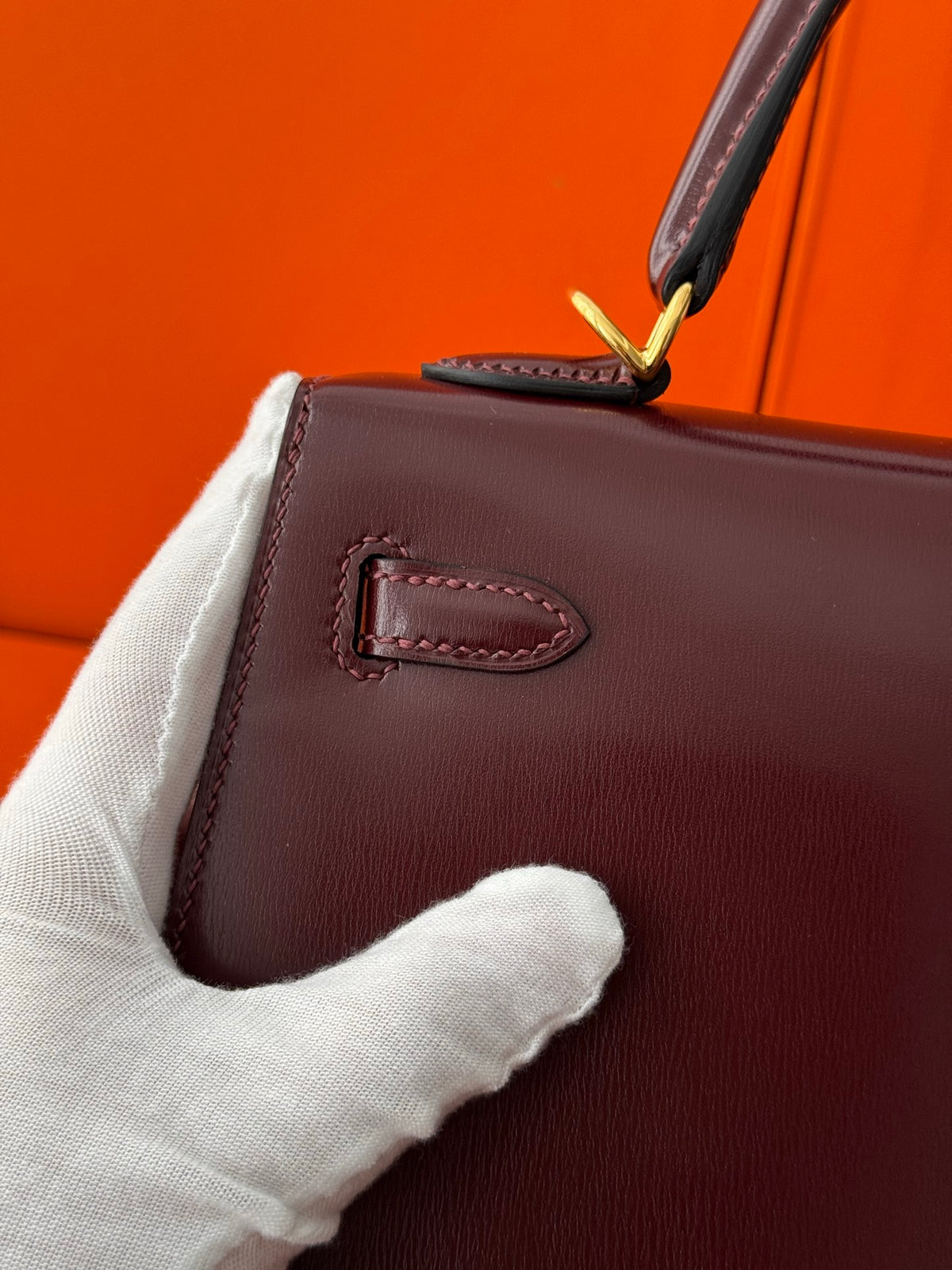 Kelly 25