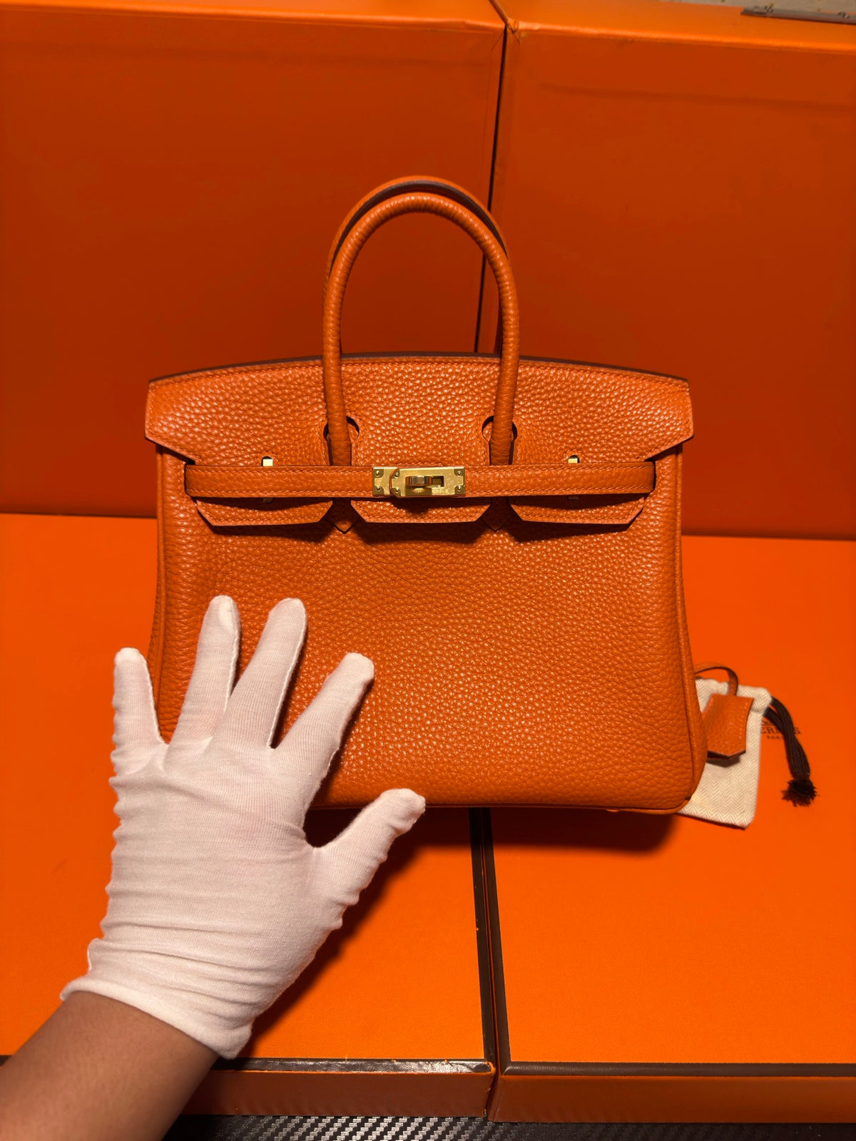 Birkin 25