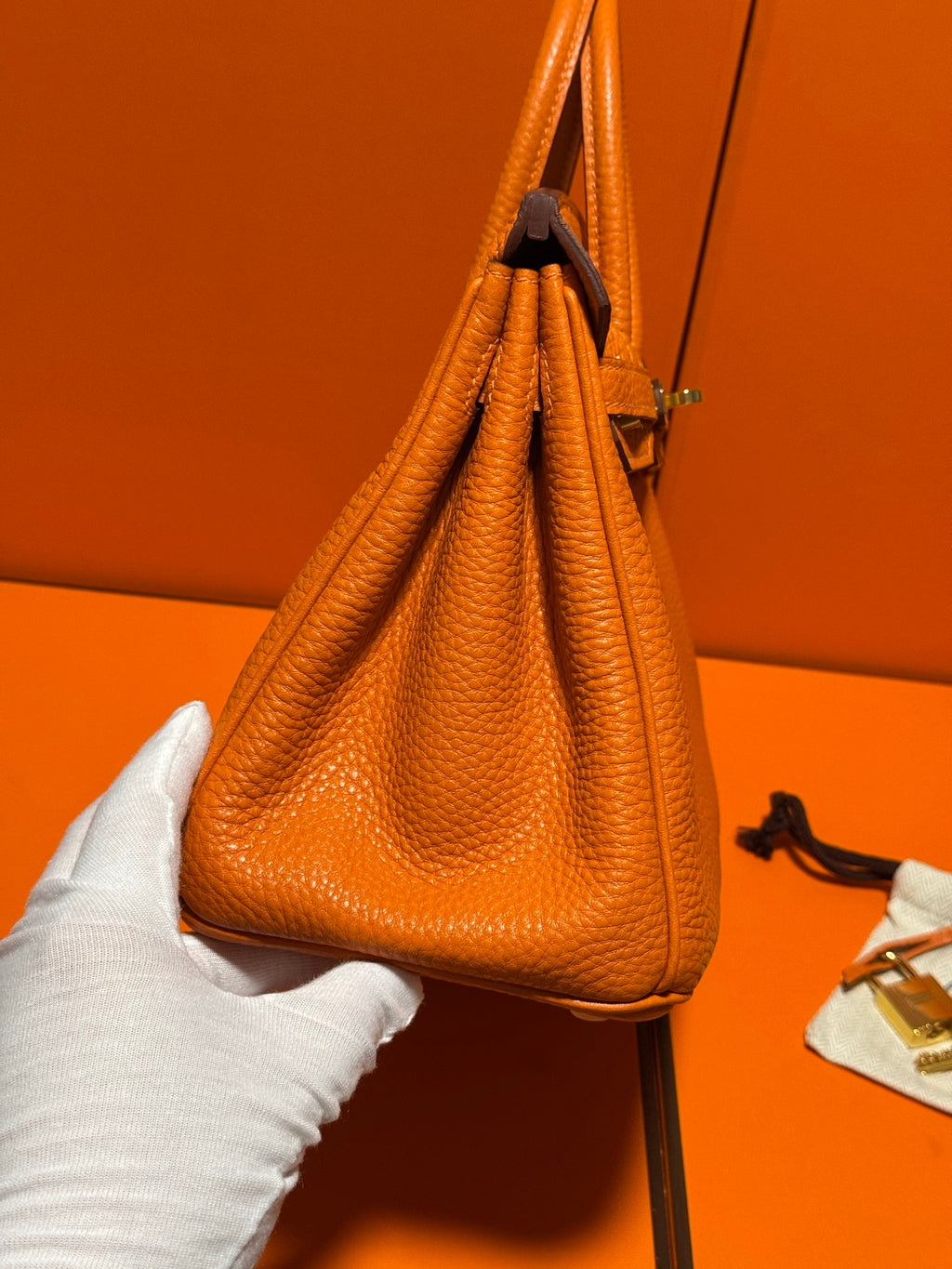 Birkin 25